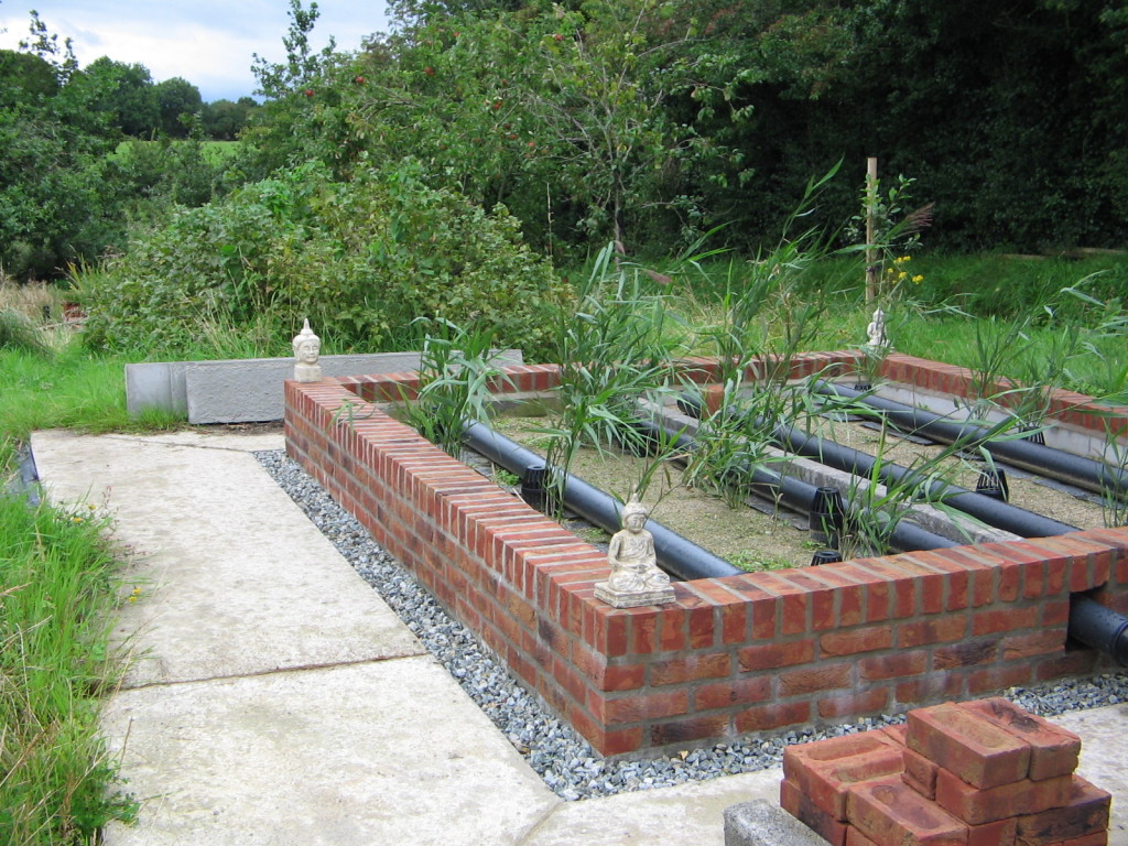 A well finished VFRB reed bed Herr Ltd