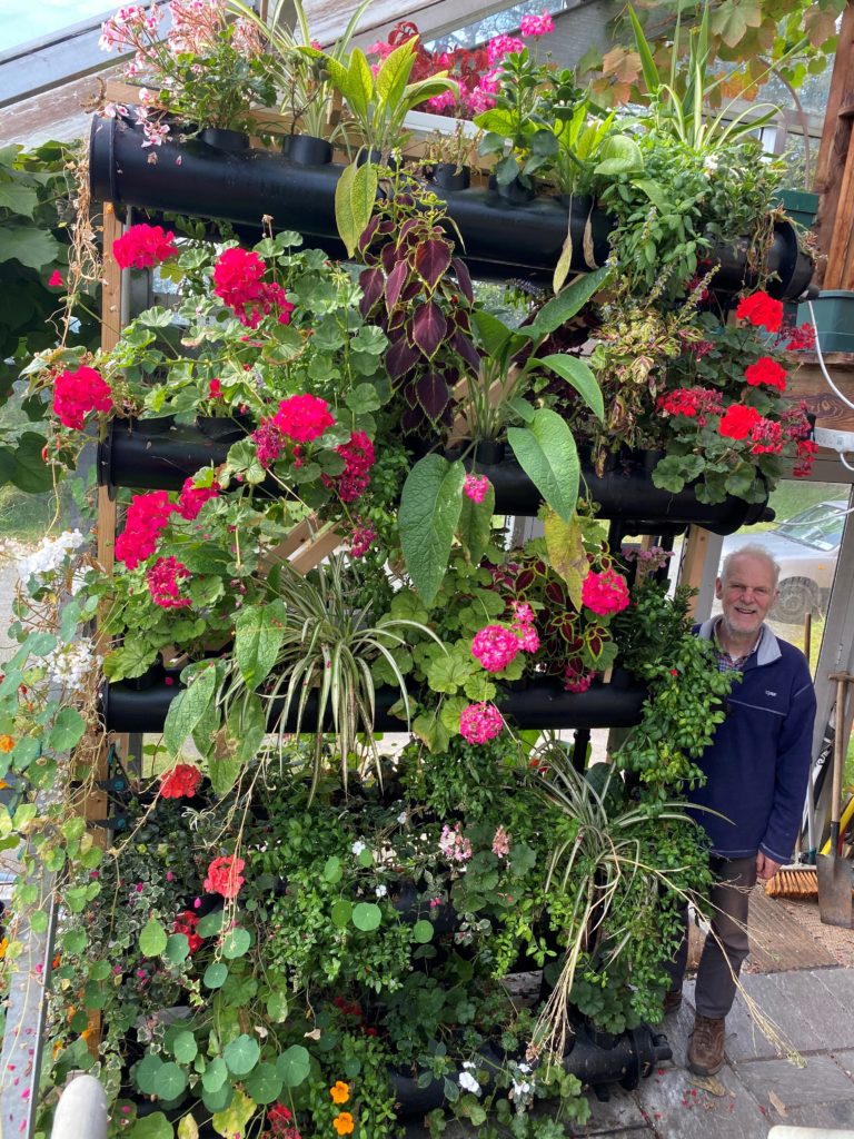 100flowersgrowwithdiluteurine23rdSept2020.msg_ Herr Ltd